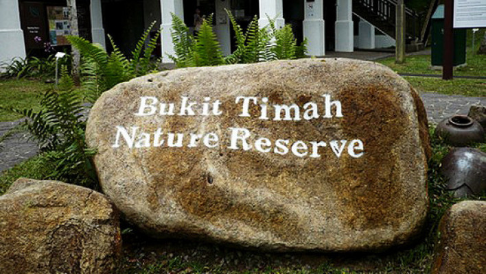 Places Bukit Timah Nature Reserve Singapore City Guide